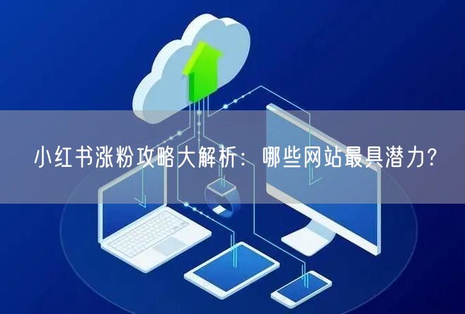 小红书涨粉攻略大解析：哪些网站最具潜力？