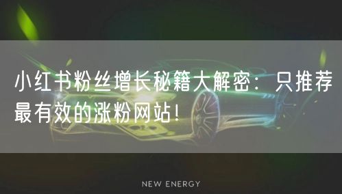 小红书粉丝增长秘籍大解密：只推荐最有效的涨粉网站！
