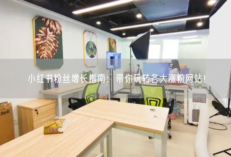 小红书粉丝增长指南：带你玩转各大涨粉网站！